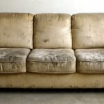 Beavis and Butthead Couch Background Without Beavis or Butthead